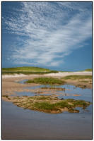 All images © Jane Marcy. All Rights Reserved.      