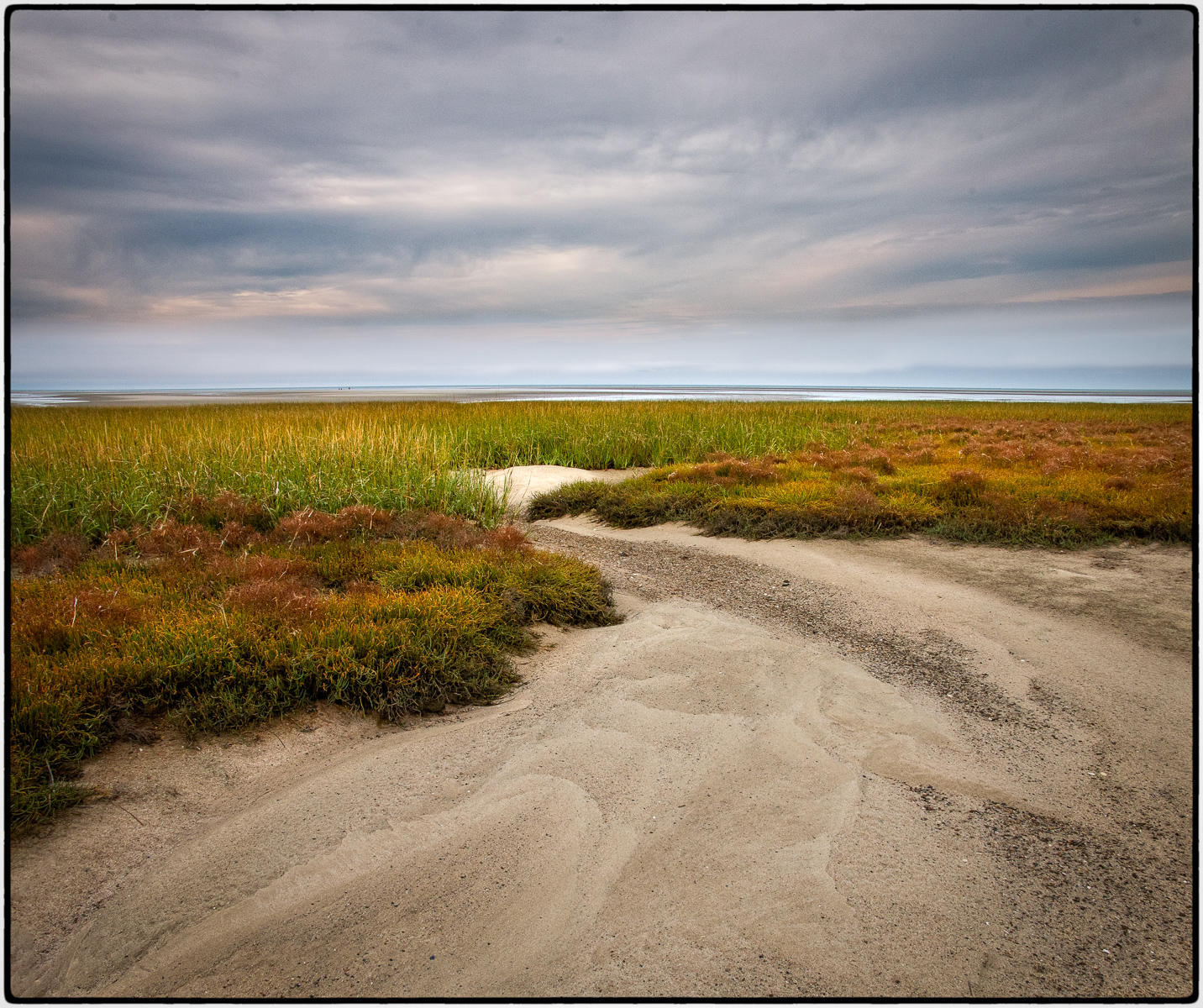 John Wing Low Tide Grasses