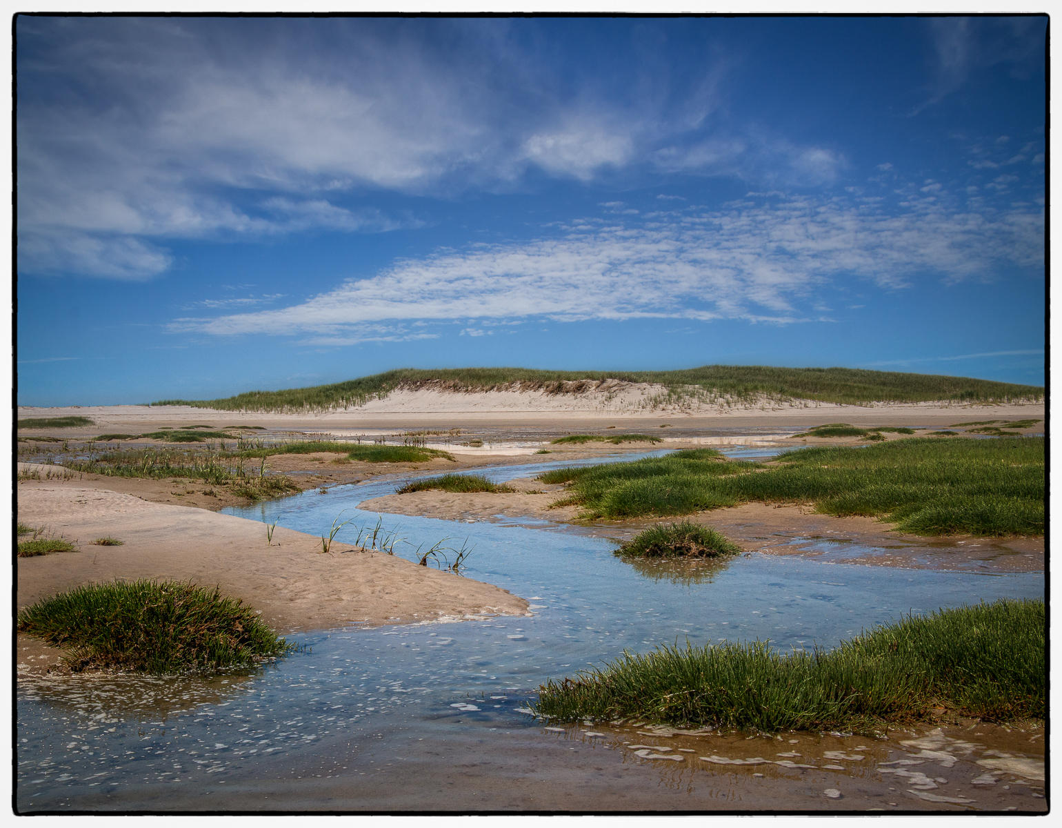 Chapin Tidal Creek