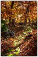 All images © Jane Marcy. All Rights Reserved.      