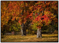 All images © Jane Marcy. All Rights Reserved.      