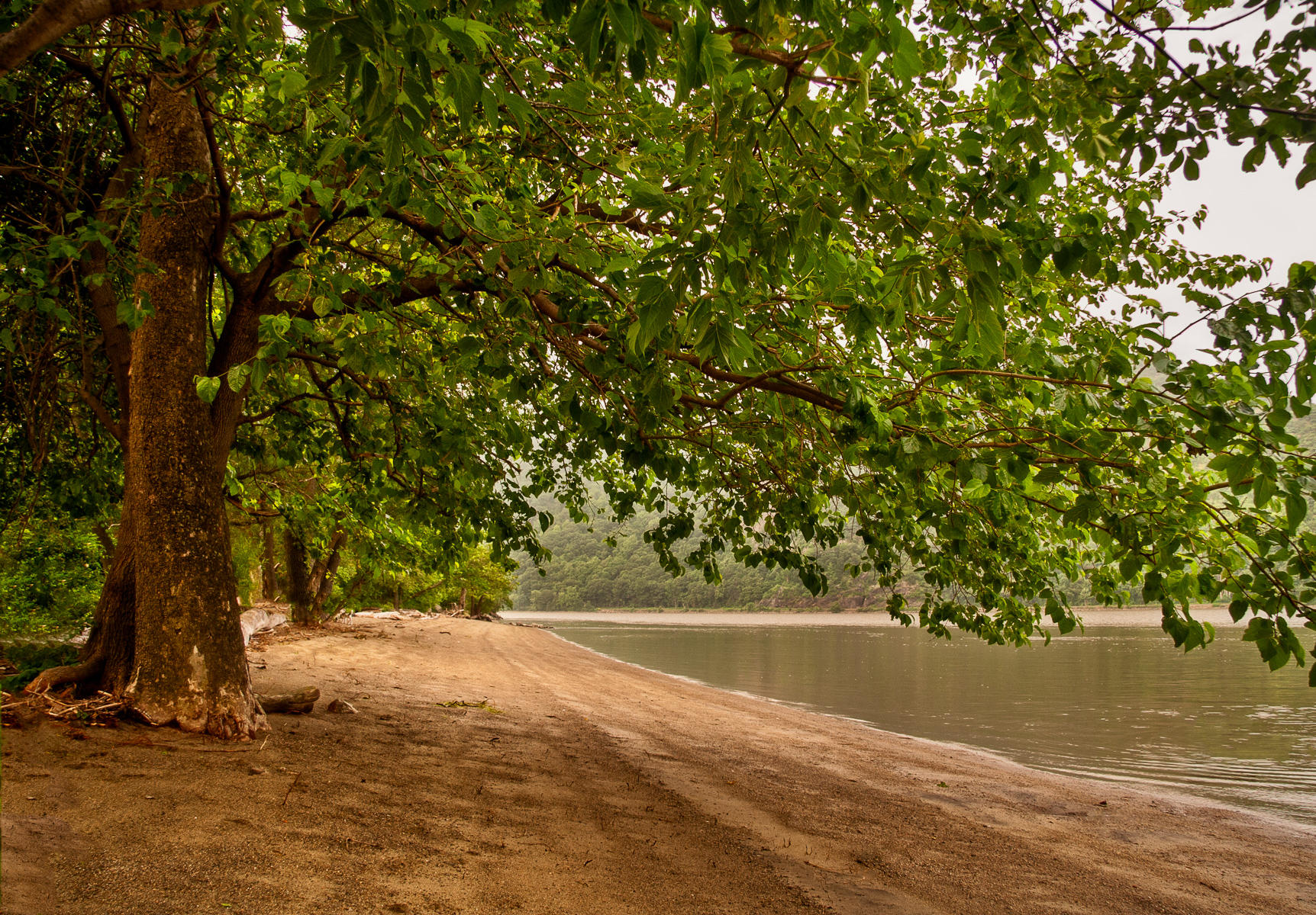 Little Stony Point Beach