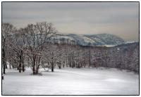 All images © Jane Marcy. All Rights Reserved.      
