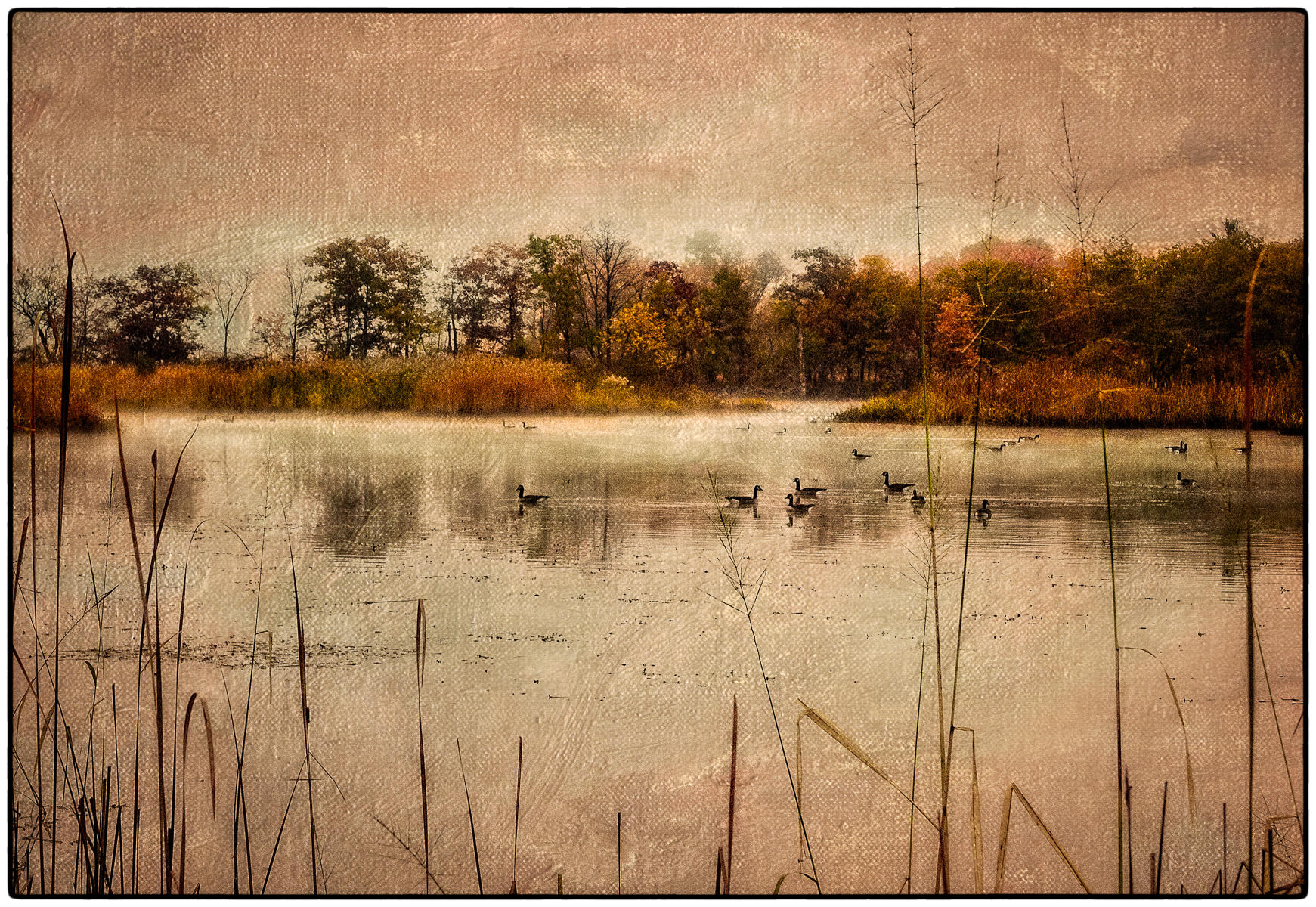 Hudson River Marsh at Dawn 