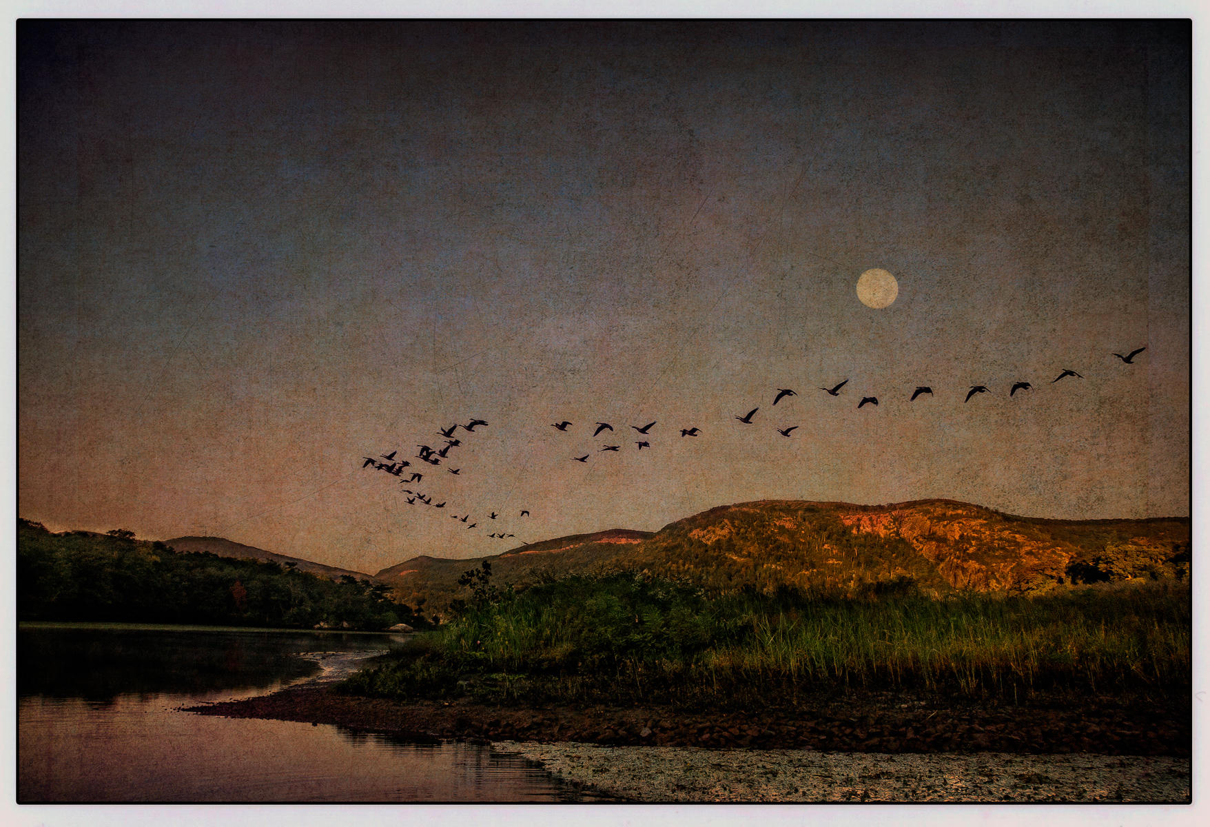 Crack of Dawn Flight into the Hudson Marsh